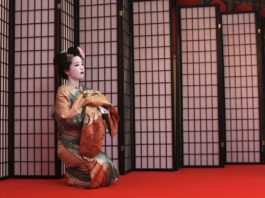 Người kỹ nữ xinh đẹp của thành Yedo geisha