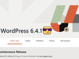 WordPress 6.4.1 có gì hot?
