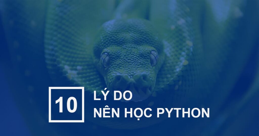 Năm 2024 nhất định bạn phải học xong Python vì 10 lý do sau đây